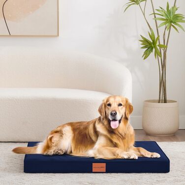 Ортопедичне ліжко для собак WAVVE, ліжко-софа для середніх собак з піною 