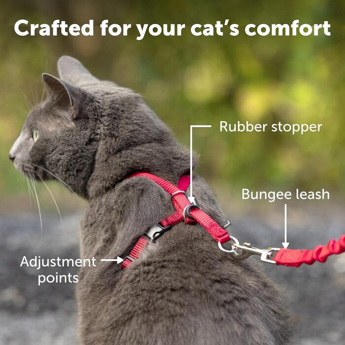 Шлейка для котів PetSafe Come with Me Kitty з еластичним повідцем, розмір S, синя
