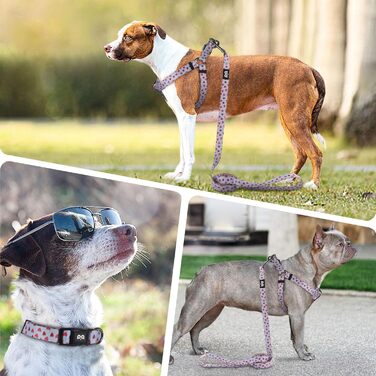 QQPETS Шлея для собак, нашийник і повідець 1,5 м, не тягне, регульована, міцна, для цуценят, середніх і великих порід, для тренувань