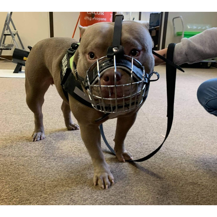 Корзина для собак American Bully, чорна шкіра/чорний дріт, BA