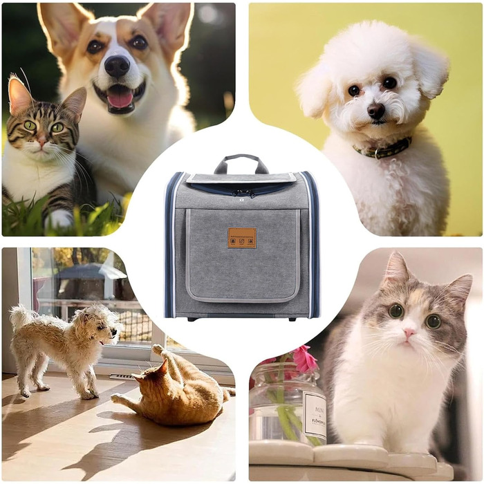 Велосипедний кошик для собак та котів, дихаючий, портативний - для прогулянок, подорожей, безпеки та сімейного відпочинку