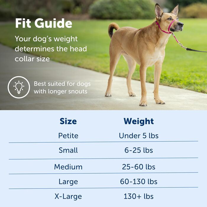 Нашийник для дресирування PetSafe Sanfter Führer, фіолетовий, Medium (упаковка 1)