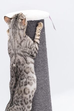 Дряпак для великих котів Petrebels Savannah XXL 86 см, висока якість, товста стовп-колона Ø20 см, оф-вайт