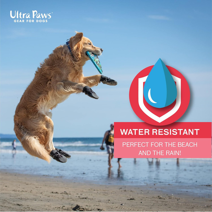 Чоботи для собак, захист лап, чорний колір, розмір 6 (M), водонепроникні, для великих собак