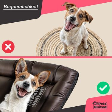 Килимок для собак, лежанка для собак Indoor & Outdoor, м'яке гніздище для собак та котів (M - 75x52 см)