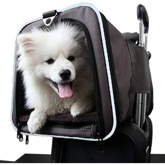 ABISTAB Транспортна переноска для собак і котів, розкладний бокс для авто та авіаперельотів, Maxi 72см, з двостороннім відкриванням та довгим плечовим ременем