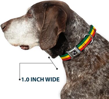 Нашийник для собак Buckle Down Rasta Bone, великий, 38,1–66 см