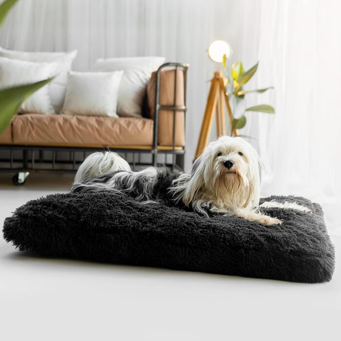 Плюшеве ліжко для собак petzy 100x70x14 см, антрацит, м'яке та пране, для великих, середніх і малих собак, товстий і зручний килимок, лежак та подушка для собак і котів