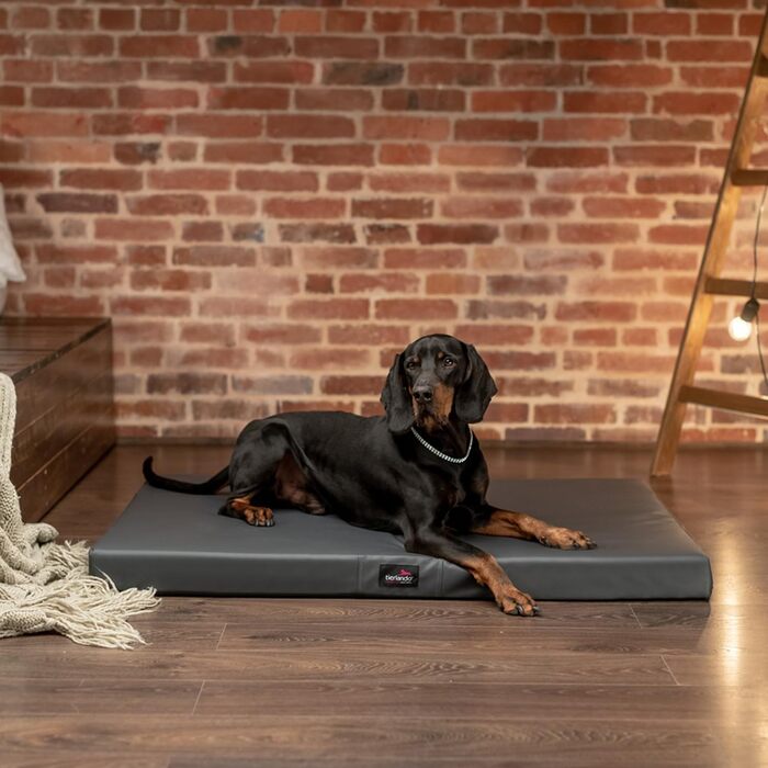 Ортопедичний лежак для собак Tierlando Alice Easy CLEAN з екошкіри, 100x80 см, сірий (графіт)