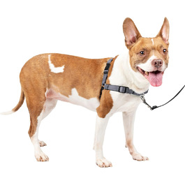 Шлея для собак PetSafe Deluxe Easy Walk, преміум
