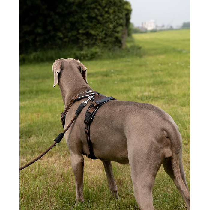 Шлейка для собак Ionto з відбиваючим матеріалом, м'яка, розмір XL, коричнева. Анти-тяга, 2 кільця, 4 ремені, 2 застібки-кліпси, гумовий хват на спині