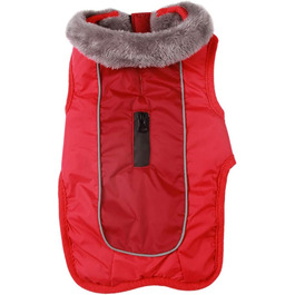 колір: гниль