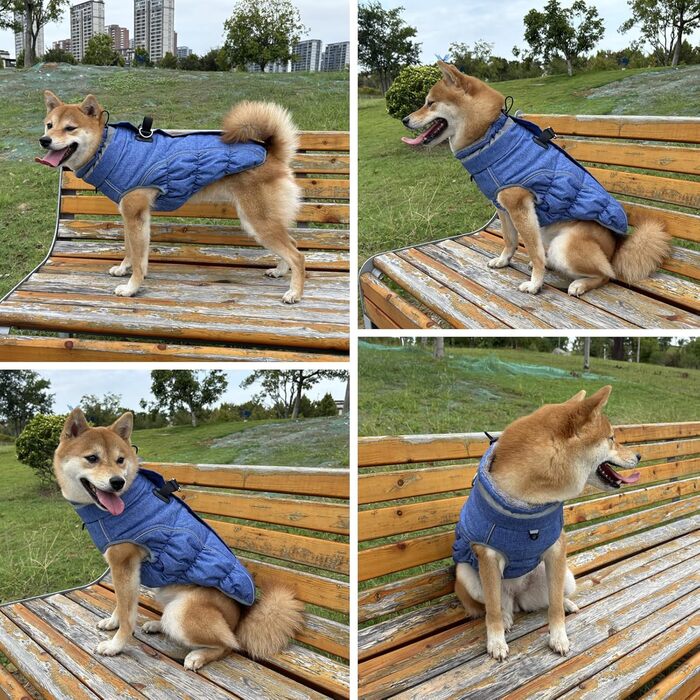 Водонепроникний та вітронепроникний теплий зимовий одяг для собак - куртка з інтегрованим шлейкою, розмір M (також доступний L, колір: синій, червоний)