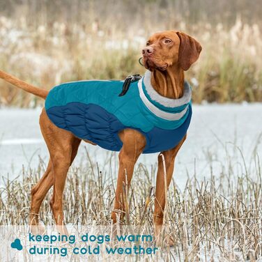 Зимовий теплий одяг для собак - куртка, пуловер, жилет для маленьких собак, чихуахуа (XXL, темно-зелений)