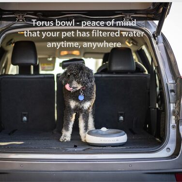 Автоматична поїлка для собак і котів Torus Pet Maxi, 2 л, з фільтрацією, вугільний фільтр, антибактеріальна, без BPA, для дому та подорожей