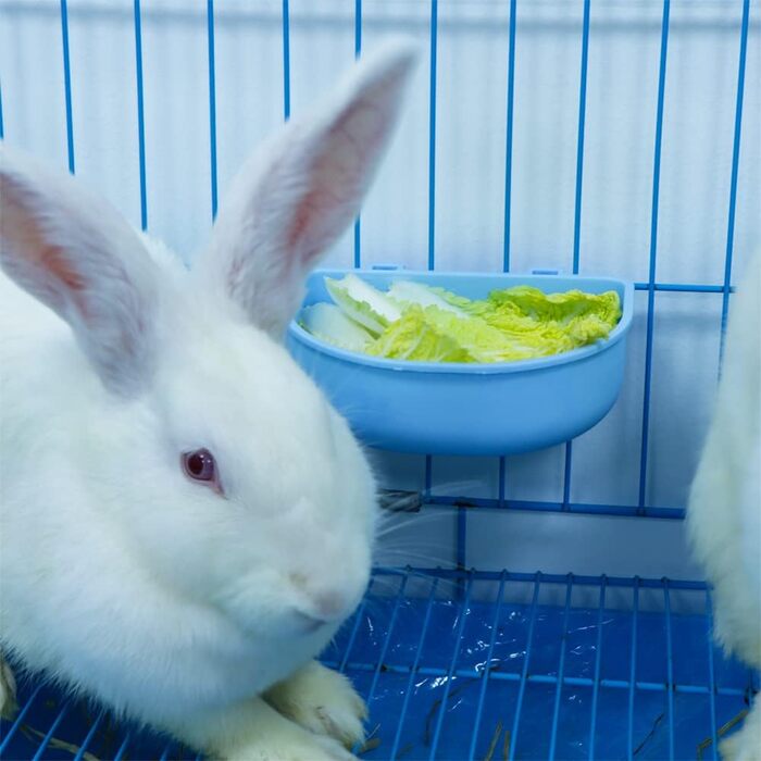 4 годівниці для кроликів та морських свинок, пластикові, підвісні, портативні (рожевий та блакитний)