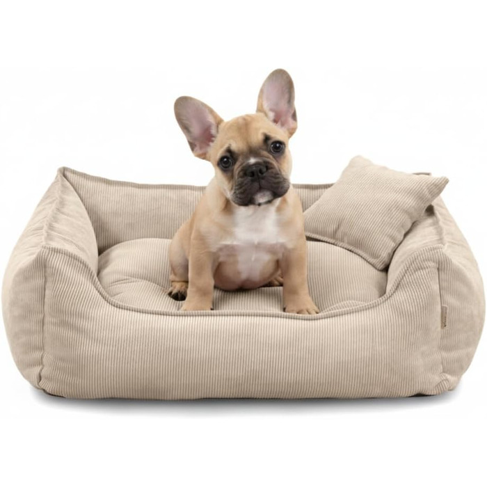 М'яке ліжко для собак Gutekissen® Lucky – зручне та миється, для маленьких та великих собак, з поліуретановою начинкою та знімним чохлом (кремовий, M - 80x65)