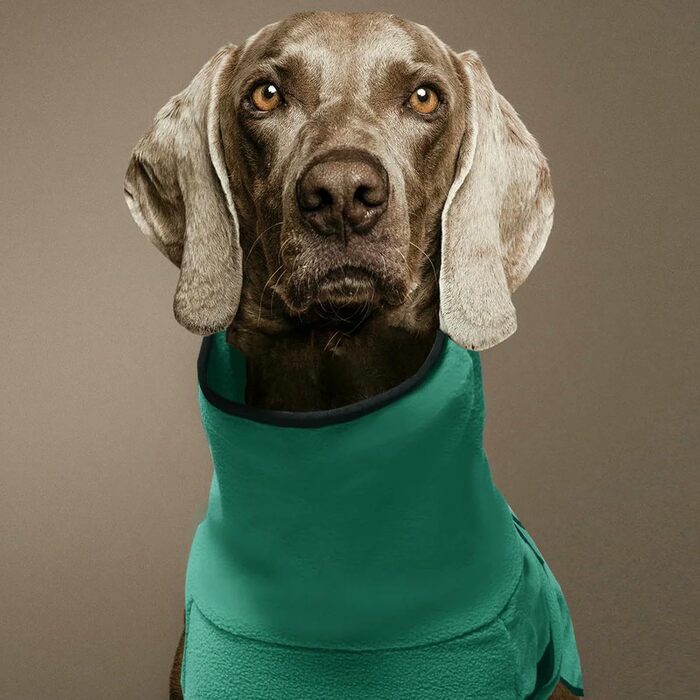 Зимовий одяг для собак: теплий великий пуховик, жилет, куртка для маленьких, середніх собак, голден ретрівер, чорний, 5XL