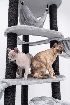 Дизайнерський кутовий когтеточка Petrebels Catharina 160 см для великих котів, преміум-якість, з XXL гамаком і котячим будиночком, сірий