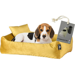 колір: селера