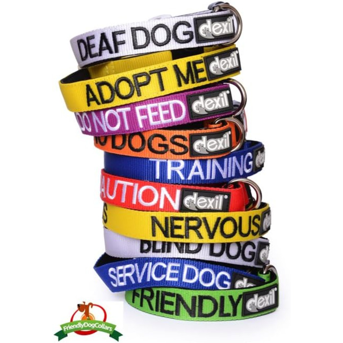 Нашийник для собак з неопрену з написом 'Therapy Dog', блакитний, з підкладкою, розмір L-XL (15-25' x 1.25')