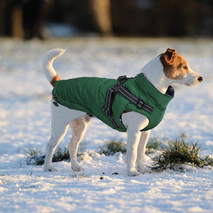 Водонепроникний зимовий теплий одяг для собак, теплий одяг для собак з шлейкою, для маленьких собак, розмір M (довжина спини 34 см), зелений