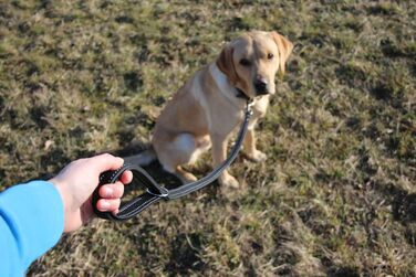 Шкіряний повідок Activity4Dogs для середніх і великих собак, 1 м, 2 см, чорний, короткий, німецький, для дресирування