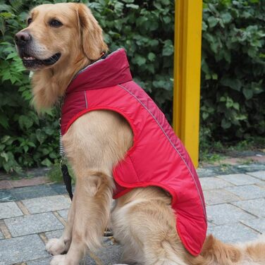 Водонепроникний теплий дощовик для собак з отвором для шлейки, XL, червоний