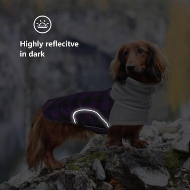 Водонепроникна зимова куртка для маленьких собак, мініатюрний джек-рассел, куртка для собак з отвором для шлейки, ідеальна для прогулянок, походів, кемпінгу, розмір (xs, фіолетовий в клітинку)