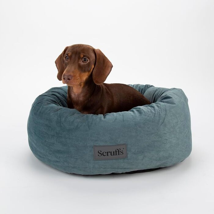 Нашийник для собак Scruffs Oslo Ringbett, колір Lake Teal, розмір M