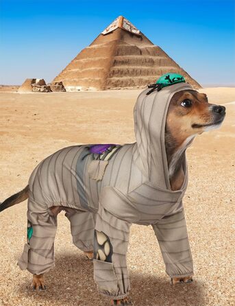 Костюм мумії для домашніх тварин Rubie's, з капюшоном, розмір XL, як на фото