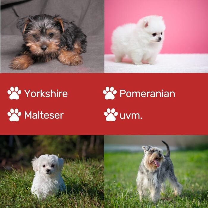 Ножиці моделювальні EHASO, 14 см, 34 зубці, односторонні, преміум-якість