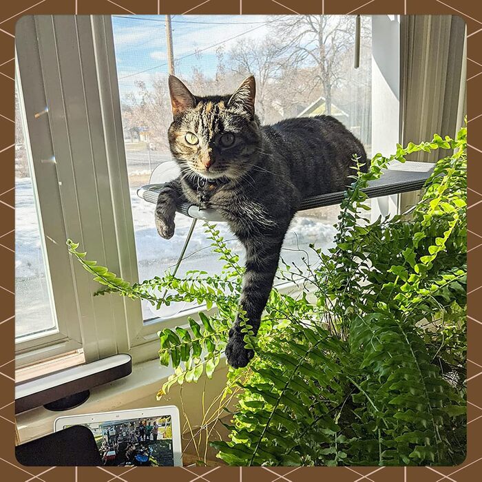 Кіт-гамак для вікна LSAIFATER 360° з металевими опорами, чорний