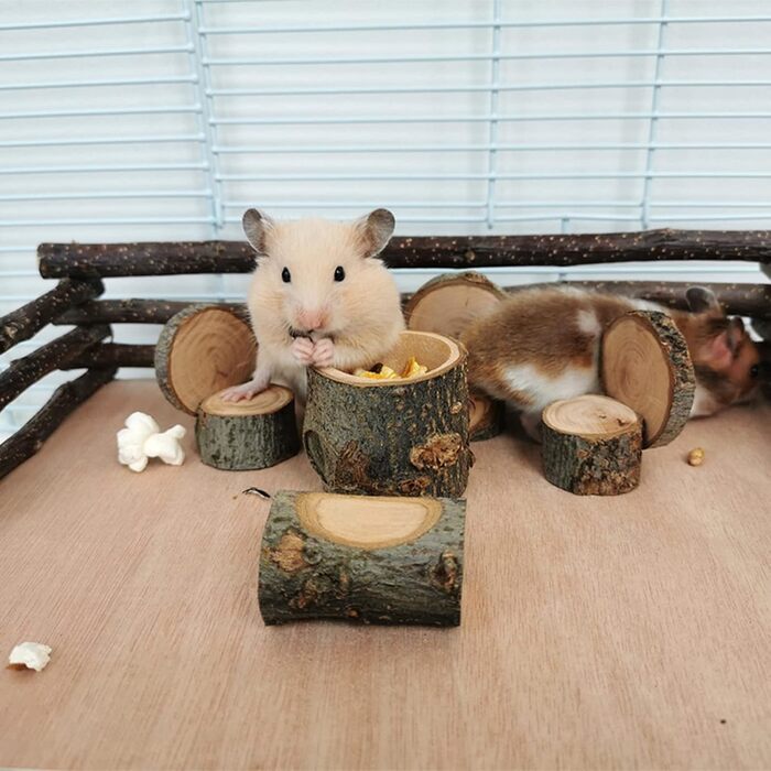 Іграшки для хом'яків, морських свинок та кроликів: аксесуари та розваги для гри