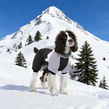 Водонепроникний собачий плащ Kuoser для маленьких собак - теплий зимовий плащ з шлейкою та світловідбиваючими деталями, чорний, розмір M