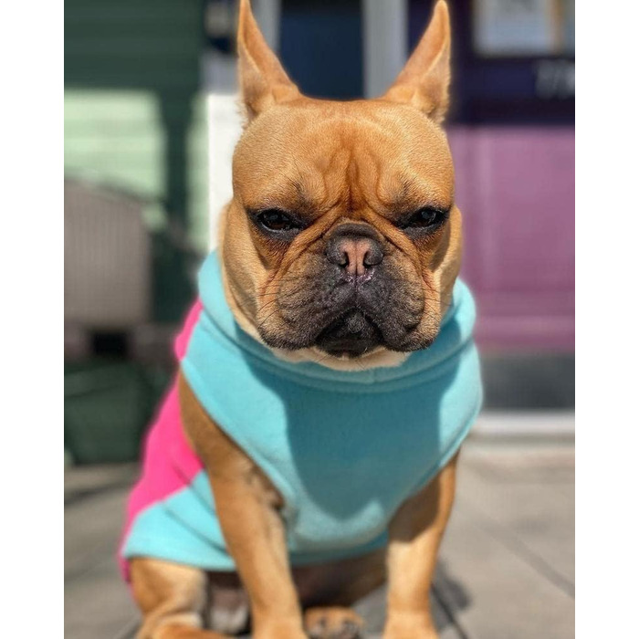 Тепла флісова жилетка для маленьких собак Gooby (Рожева, розмір Medium, обхват грудей ~41 см)