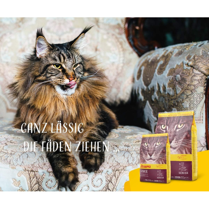 Сухий корм для літніх котів JOSERA Senior, без пшениці, 10 кг