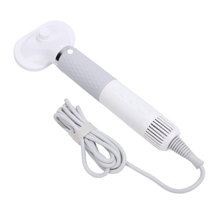 Фен для собак Lyrlody 5-в-1: портативний, з гребінцем для шерсті, для догляду за тваринами, 4 насадки, EU