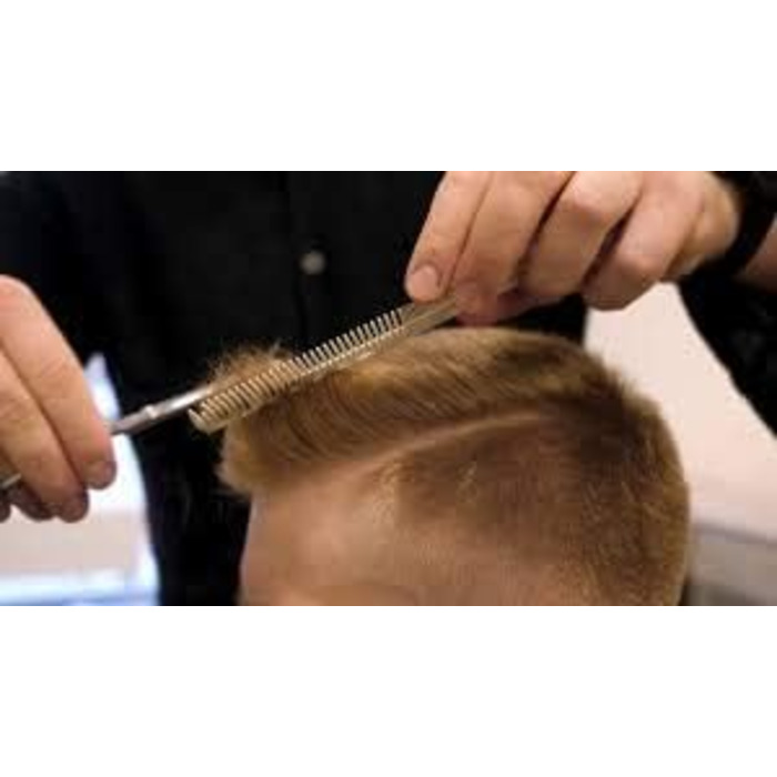 Професійні ножиці для волосся Focus World 6,5 дюймів (FW--01) - Японська сталь, срібло