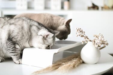 Підвищена подвійна кормова станція LucyBalu для котів, біла, ергономічні миски для корму та води