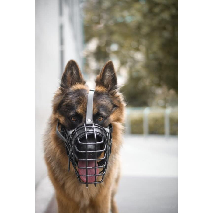 Металевий намордник із гумовим покриттям Dingo Gear для німецької вівчарки, професійний, універсальний, зручний, для довгих прогулянок