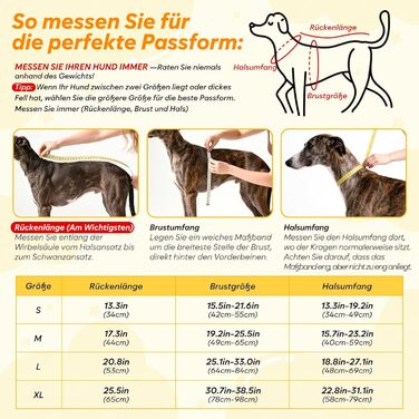 Водонепроникний дощовик для собак, дощова куртка з відбивачем, XL, армійсько-зелений