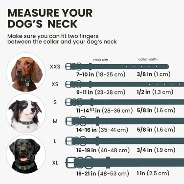 Нашийник для собак BRONZEDOG з шкіри, з QR-ID тегом, регульований, м'який, круглий, для собак маленьких, середніх та великих порід, цуценят та котів (40-48 см, 28-36 см)