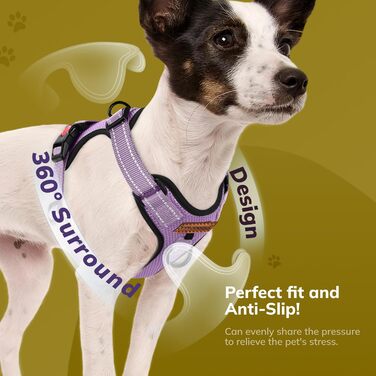 Нашийник для собак FAYOGOO без чіткого затягування, з відбиваючими елементами, м'який, з підкладкою, для маленьких, середніх та великих собак, фіолетовий, розмір XS