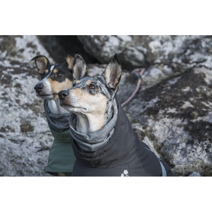 Теплий зимовий одяг для собак Hurtta Extreme Warmer, 60 см, колір: Бромбірка