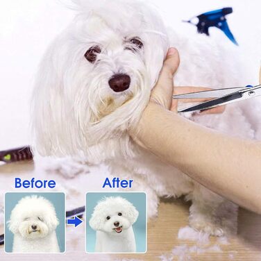 Набір професійних ножиць для грумінгу собак, титан-покриття, з ножицями для нігтів, фіолетовий