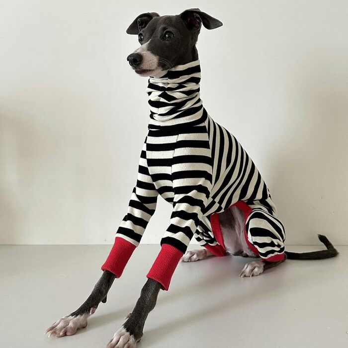 Піжама для італійського грейхаунда – бавовняний комбінезон для собак, весняно-осінній, теплий, для малих, середніх та великих собак, одяг для віппетів