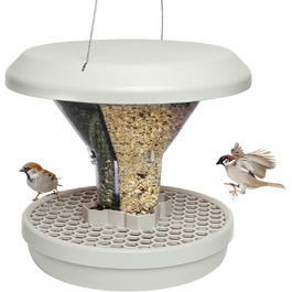 стиль: давос