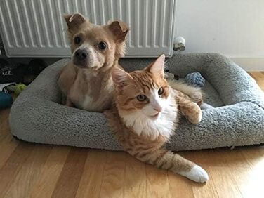 Килимок для кота 