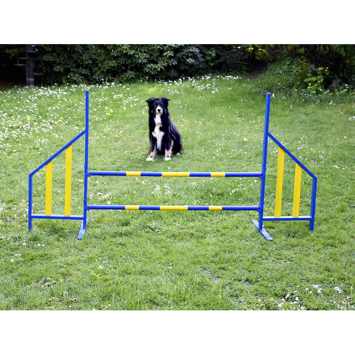 Набір для аджиліті для собак PROCYON - професійний тренувальний комплект, відповідний стандартам FCI
